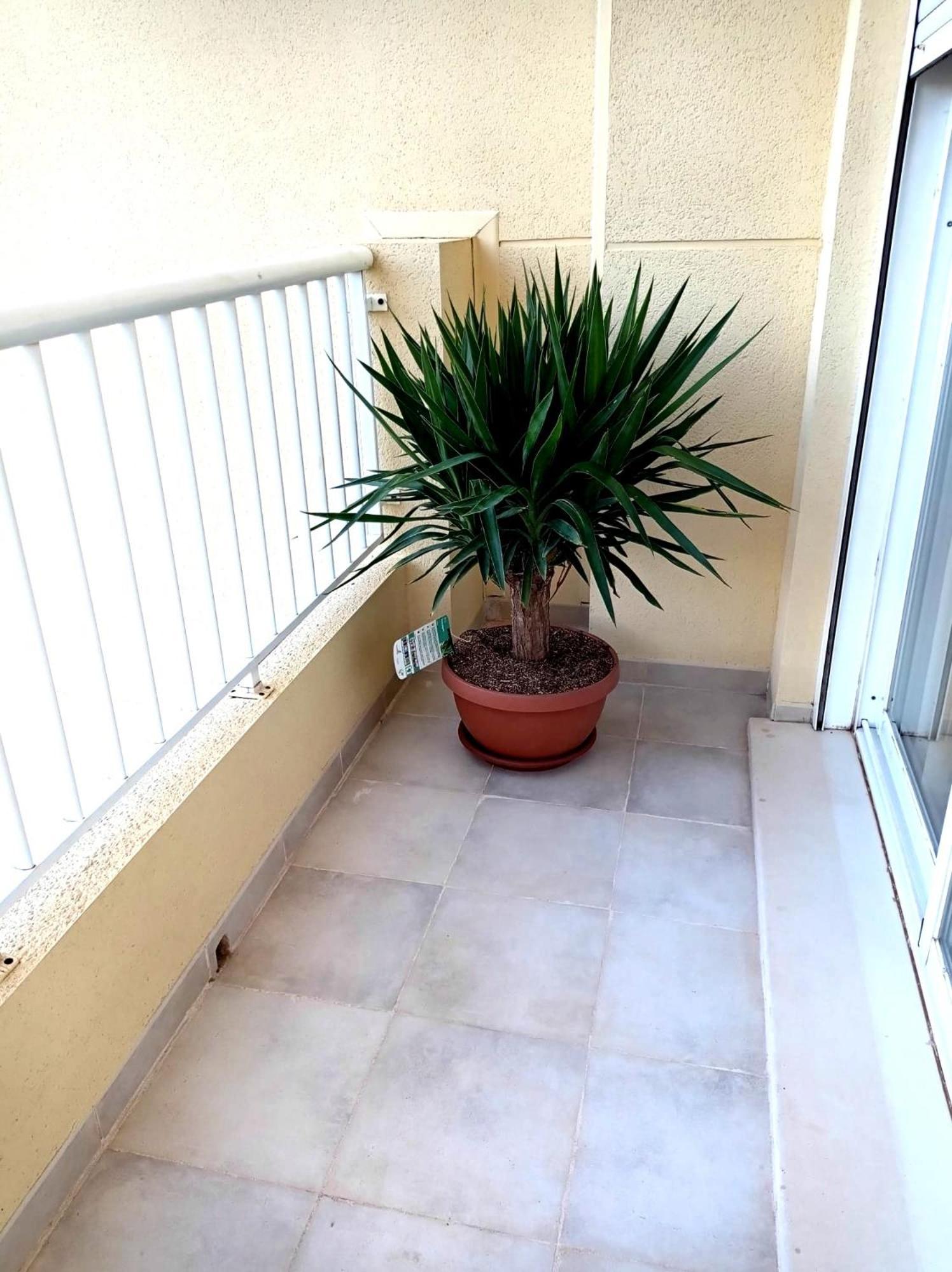 Apartamento Playasol Dénia Buitenkant foto
